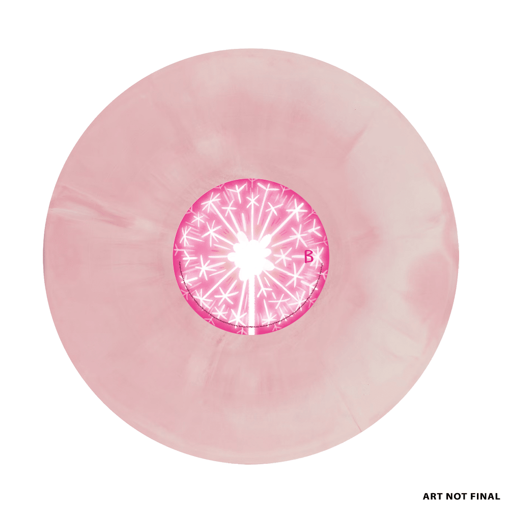 Adventure Time: Fionna and Cake Vinyl 2xLP [Soundtrack Selections] Vinyl Iam8bit - Arcline Store