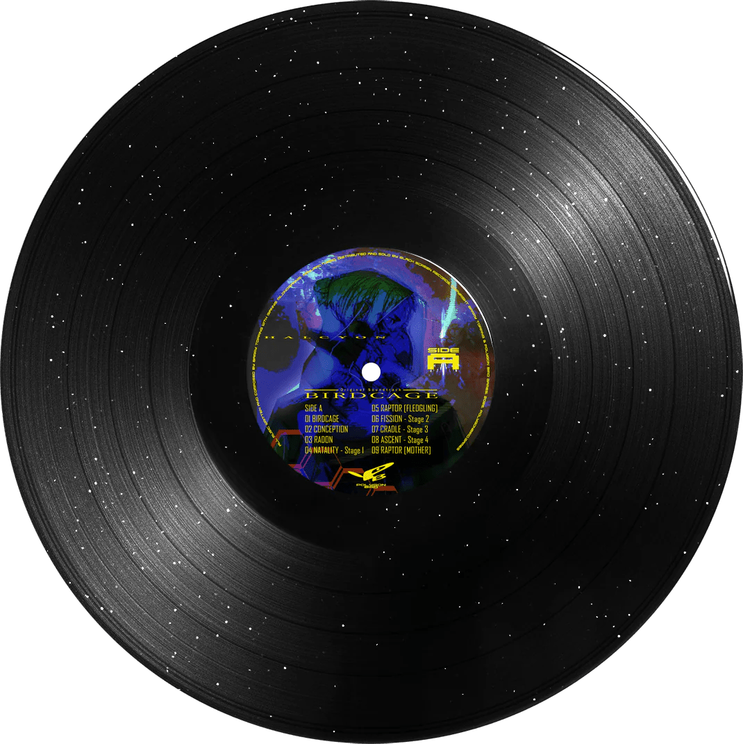 BIRDCAGE Vinyl - Original Video Game Soundtrack 1xLP Vinyl Black Screen Records - Arcline Store