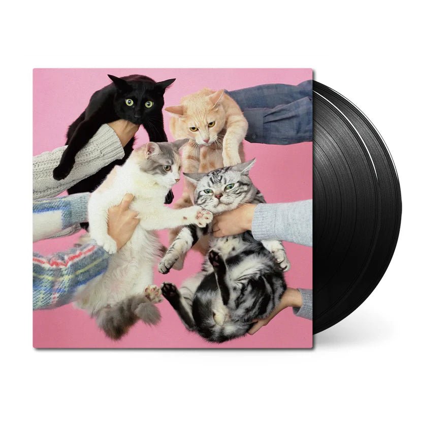 Kinoko Teikoku – Neko to Allergy Vinyl 2xLP Vinyl Universal Music Japan - Arcline Store