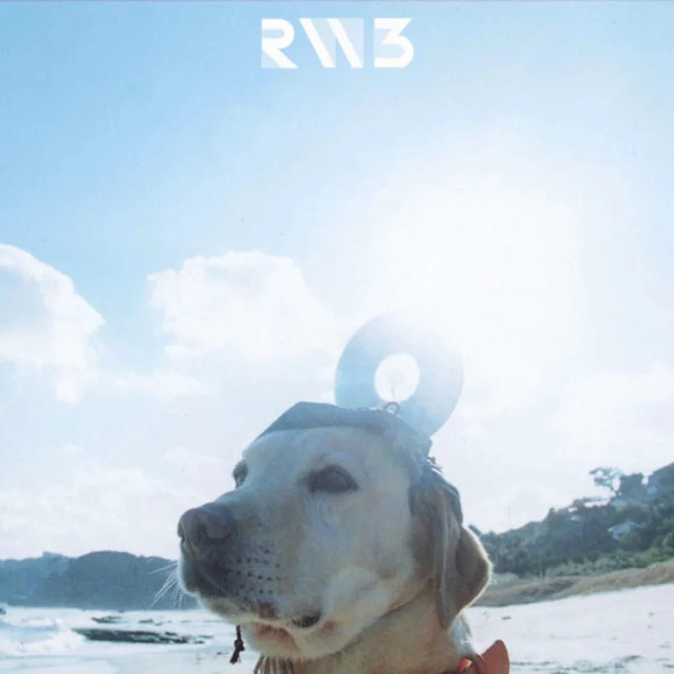 RADWIMPS 3 ~Mujinto ni Motte Iki Wasureta Ichi Mai~ - RADWIMPS Vinyl 2xLP Vinyl Universal Music Japan - Arcline Store