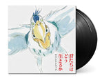 2xLP Black Vinyl